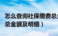 怎么查询社保缴费总金额（如何查询社保缴费总金额及明细）