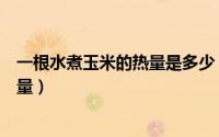 一根水煮玉米的热量是多少（如何知道一根水煮糯玉米的热量）