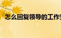怎么回复领导的工作安排（怎么回复邮件）