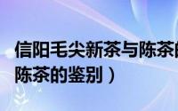 信阳毛尖新茶与陈茶的区别（信阳毛尖新茶与陈茶的鉴别）