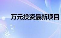 万元投资最新项目（万元投资好项目）