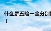什么是五险一金分别指什么（什么是五险一金）