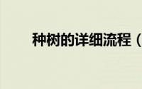 种树的详细流程（种树的详细步骤）