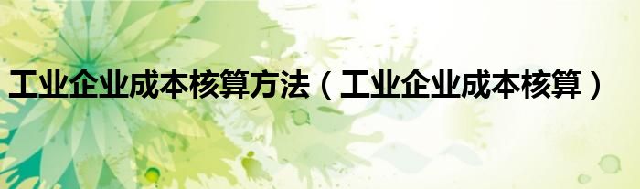 工业企业成本核算方法（工业企业成本核算）