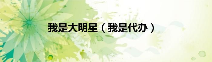 我是大明星（我是代办）