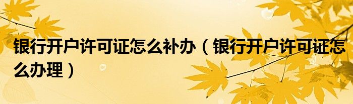 银行开户许可证怎么补办（银行开户许可证怎么办理）