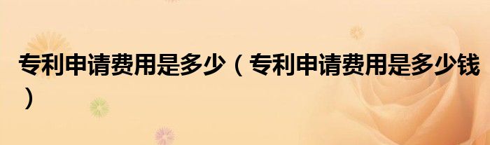 专利申请费用是多少（专利申请费用是多少钱）