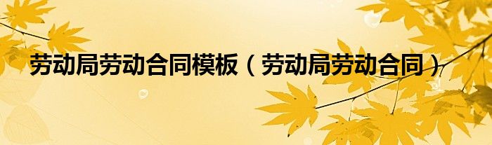 劳动局劳动合同模板（劳动局劳动合同）