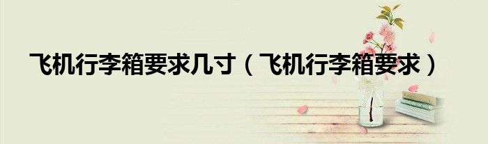 飞机行李箱要求几寸（飞机行李箱要求）