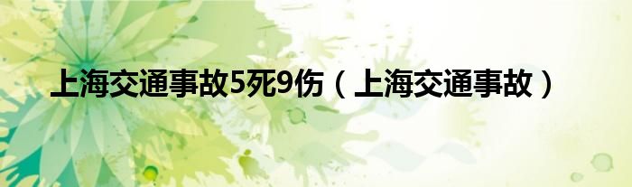 上海交通事故5死9伤（上海交通事故）