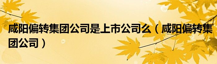 咸阳偏转集团公司是上市公司么（咸阳偏转集团公司）