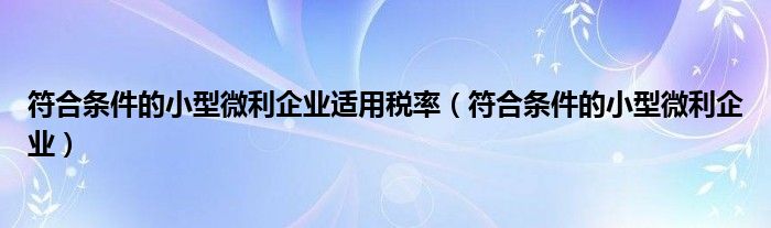 符合条件的小型微利企业适用税率（符合条件的小型微利企业）
