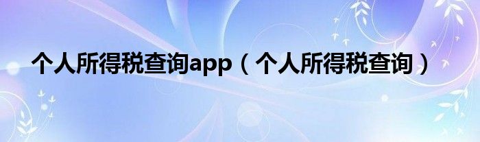 个人所得税查询app（个人所得税查询）
