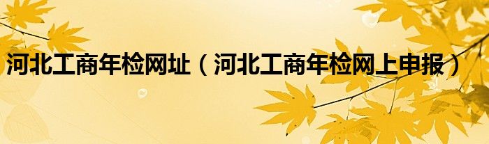 河北工商年检网址（河北工商年检网上申报）