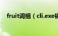 fruit词组（cli.exe初始化错误怎么解决）