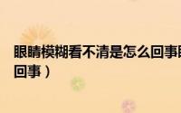 眼睛模糊看不清是怎么回事眼睛疼（眼睛模糊看不清是怎么回事）
