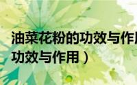 油菜花粉的功效与作用百度百科（油菜花粉的功效与作用）