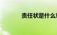 责任状是什么意思（责任状）