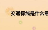 交通标线是什么意思（交通标线是）
