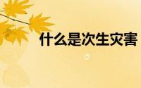 什么是次生灾害（什么是次级债）