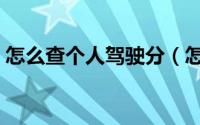 怎么查个人驾驶分（怎么查个人驾驶证真假）