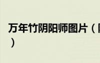 万年竹阴阳师图片（阴阳师式神万年竹的介绍）