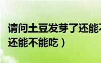 请问土豆发芽了还能不能吃（土豆发芽了到底还能不能吃）