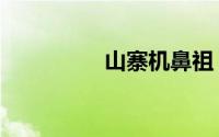 山寨机鼻祖（山寨机网）