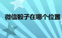 微信骰子在哪个位置（微信骰子在哪添加）