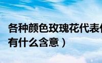 各种颜色玫瑰花代表什么意思（各色的玫瑰花有什么含意）