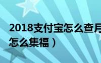 2018支付宝怎么查月收入支出（2018支付宝怎么集福）