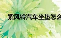 紫风铃汽车坐垫怎么样（紫风铃怎么养）