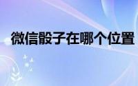 微信骰子在哪个位置（微信骰子在哪添加）