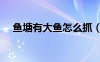 鱼塘有大鱼怎么抓（鱼塘如何诱捕大鱼）