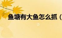 鱼塘有大鱼怎么抓（鱼塘如何诱捕大鱼）