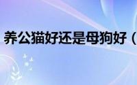 养公猫好还是母狗好（养公猫好还是母猫好）