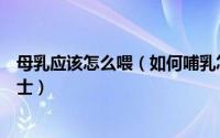 母乳应该怎么喂（如何哺乳怎么喂奶母乳喂养步骤方法小贴士）