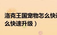 洛克王国宠物怎么快速升级（洛克王国宠物怎么快速升级）