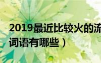 2019最近比较火的流行语（2019年最流行的词语有哪些）