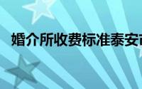 婚介所收费标准泰安市（婚介所收费标准）