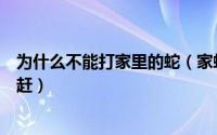 为什么不能打家里的蛇（家蛇为什么不能打家里有蛇怎么驱赶）