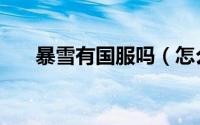 暴雪有国服吗（怎么玩暴雪英霸台服）