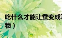吃什么才能让蚕变成彩色的（怎么做彩蚕的食物）