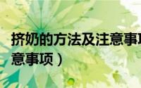 挤奶的方法及注意事项（用手挤奶的方法和注意事项）