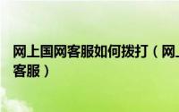 网上国网客服如何拨打（网上国网APP上如何联系在线人工客服）