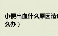 小便出血什么原因造成（小便出血什么原因怎么办）