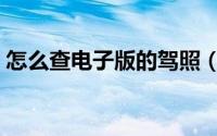 怎么查电子版的驾照（怎么查电子版结婚证）