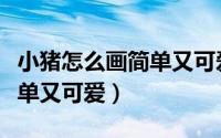 小猪怎么画简单又可爱的教程（小猪怎么画简单又可爱）