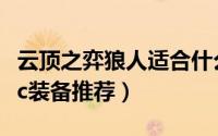 云顶之弈狼人适合什么装备（云顶之弈狼人主c装备推荐）