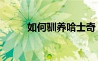 如何驯养哈士奇（如何驯养猴子）